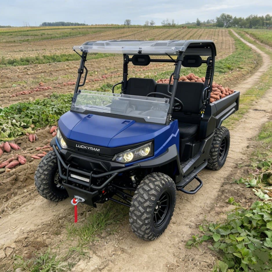 73.6V 4WD UTV 10kw AC Motor EPS Stiúrtha 150ah Battery