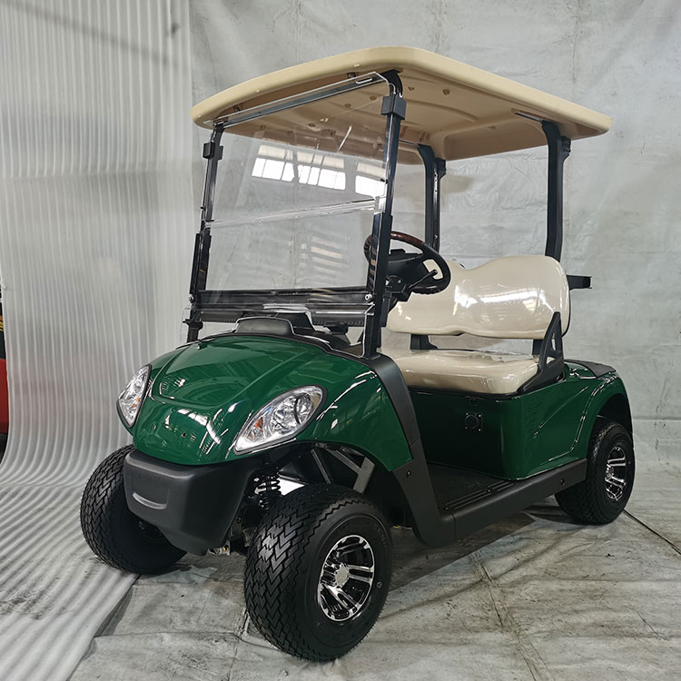 Cart gailf leictreach cumhachtach 2 shuíochán, atá feistithe le ceallraí litiam